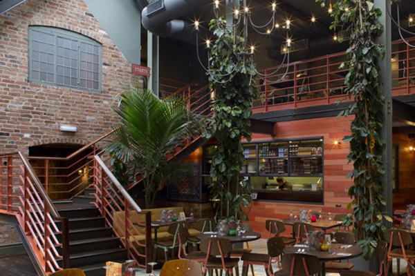 Las-Iguanas-1